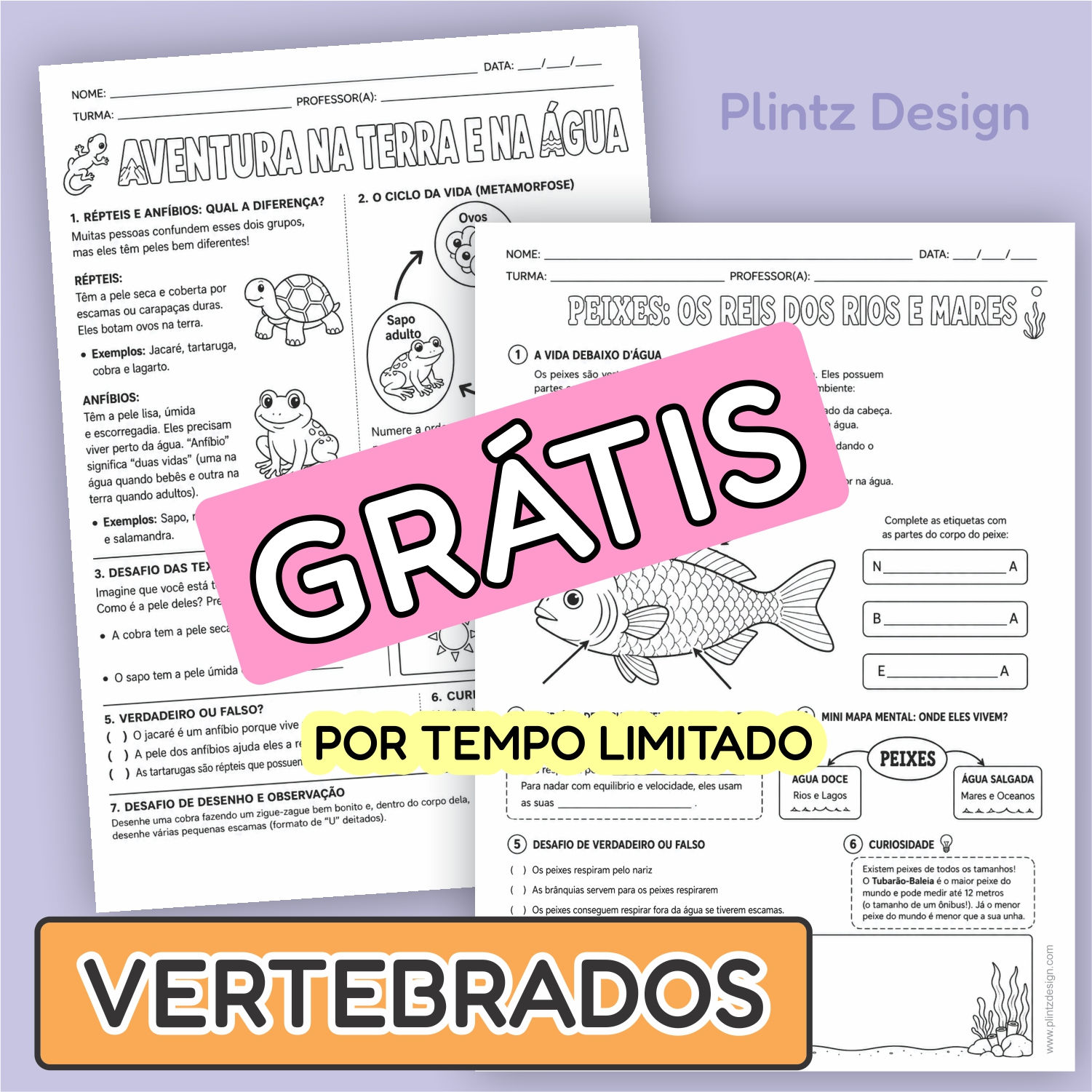 Mini Apostila de Animais Vertebrados: 5 Folhas Prontas para Imprimir (Grátis!)