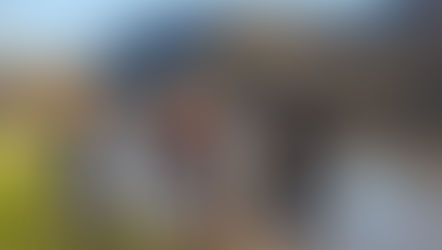 Wye Are We Not Surprised?