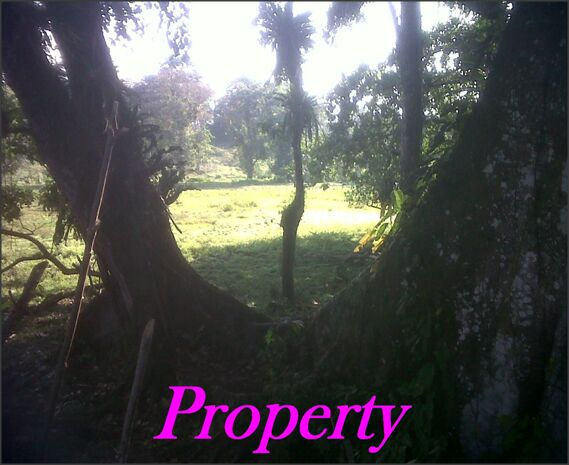 IMG-20160717-WA0040