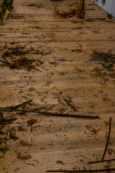 Nuclear Deforestation I, 2019 (lights on detail)