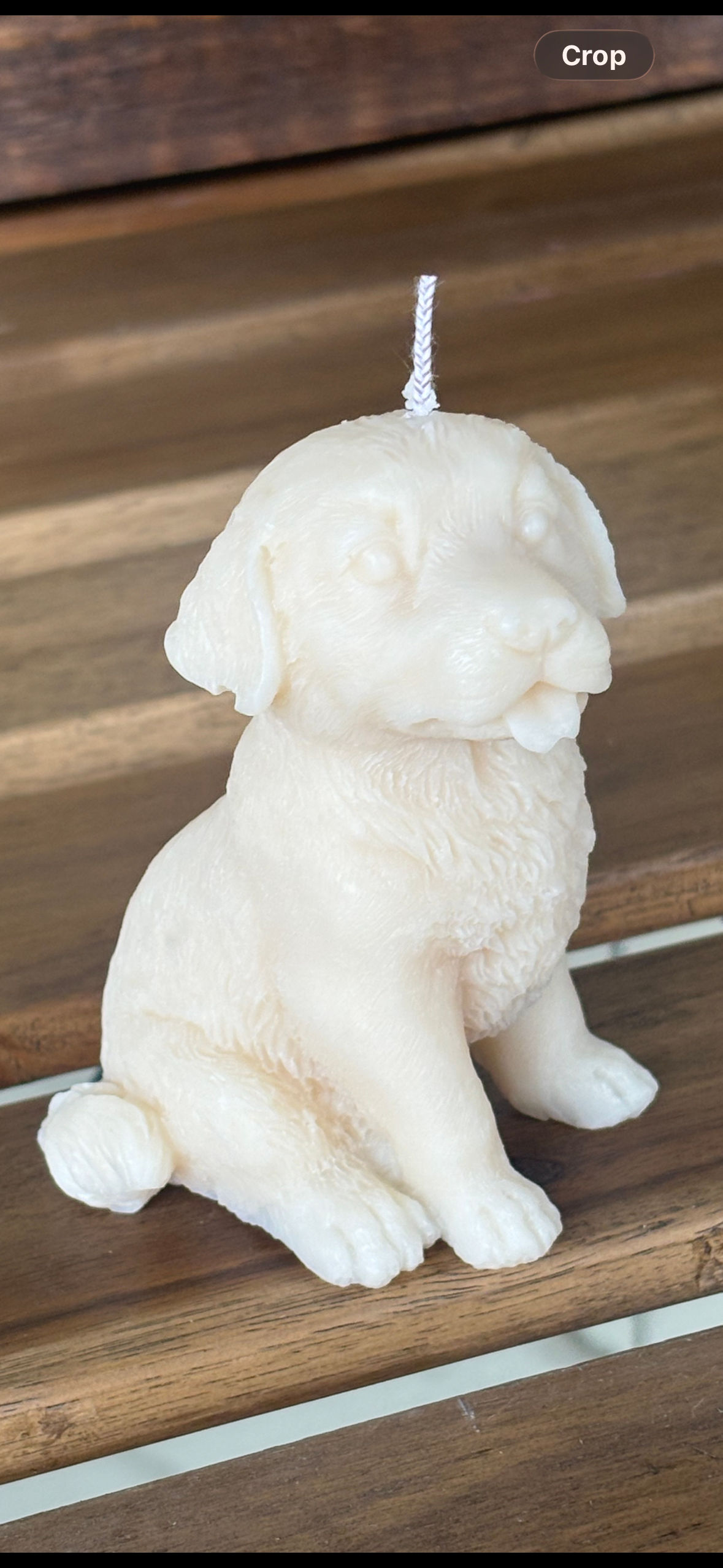 Soy wax dog -decorative candle 