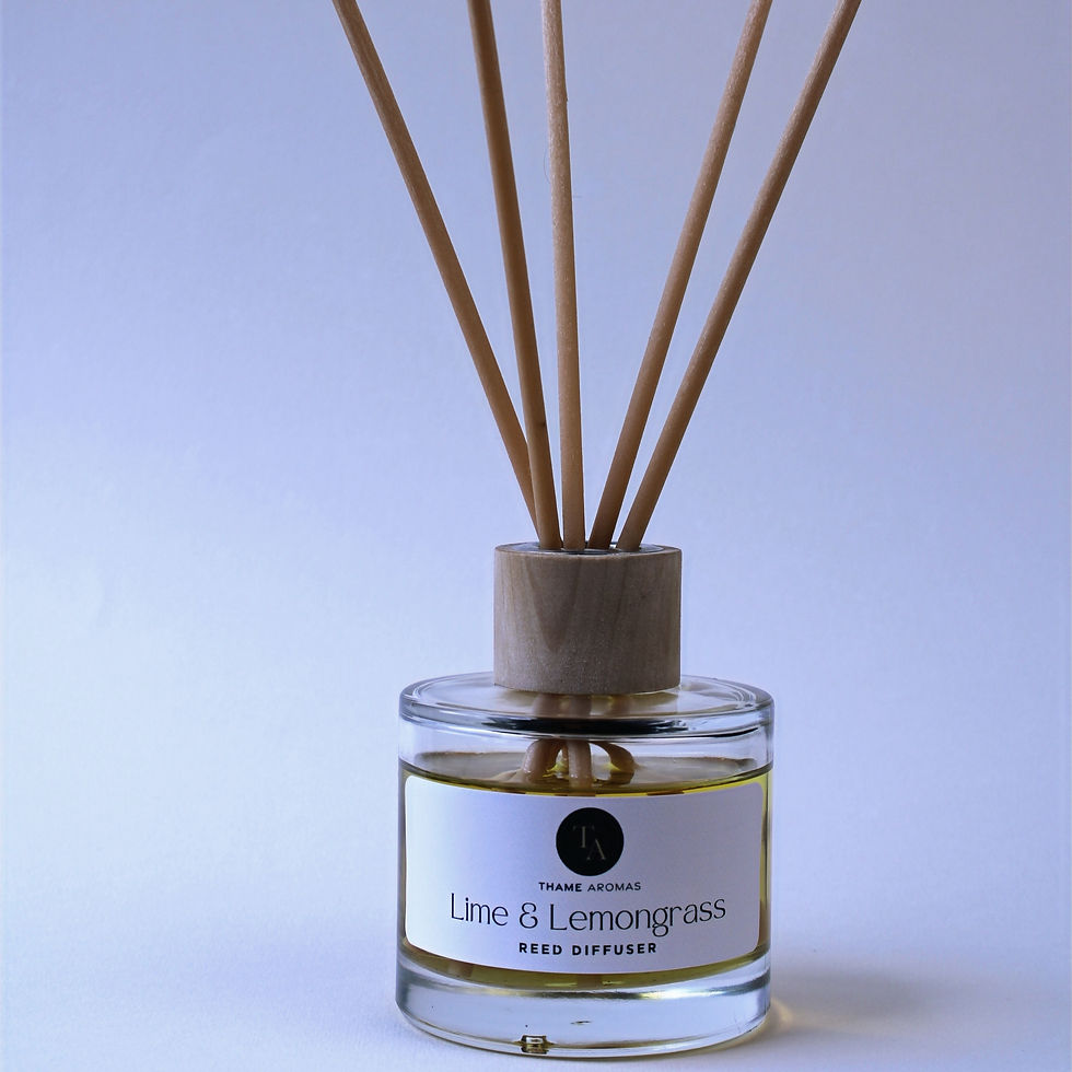 lemongrass and lime reed diffuser 100ml/200ml
