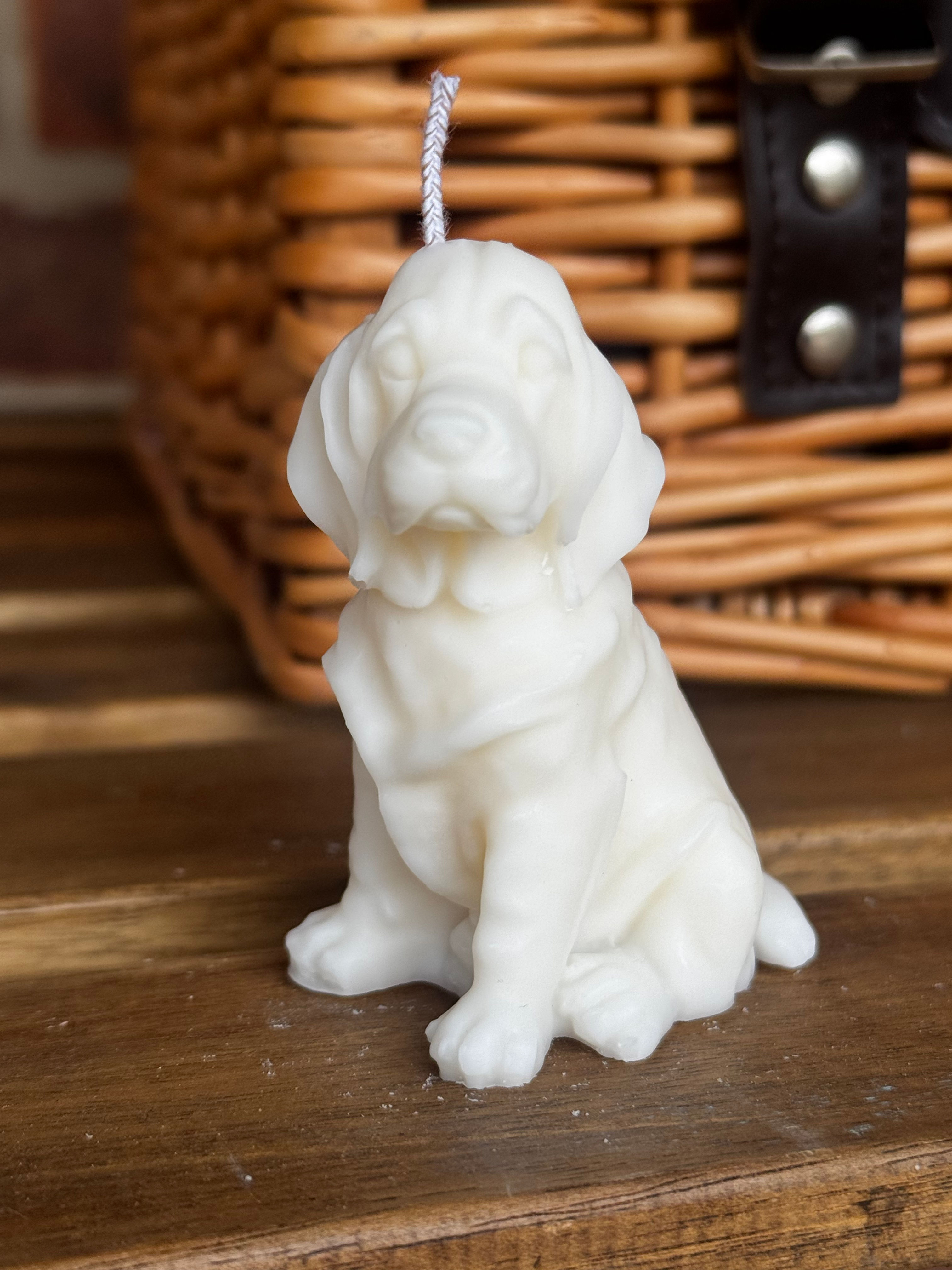 Soy wax sitting basset hound