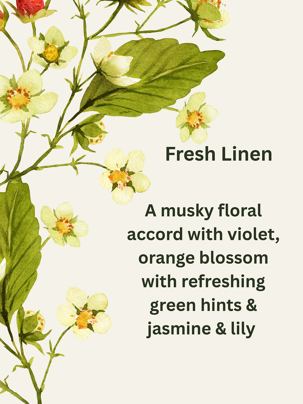 fresh linen description A musky floral accord with violet, orange blossom with refreshing green hints & jasmine & lily