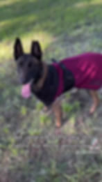 Thumbnail: The Atlas Robe v2