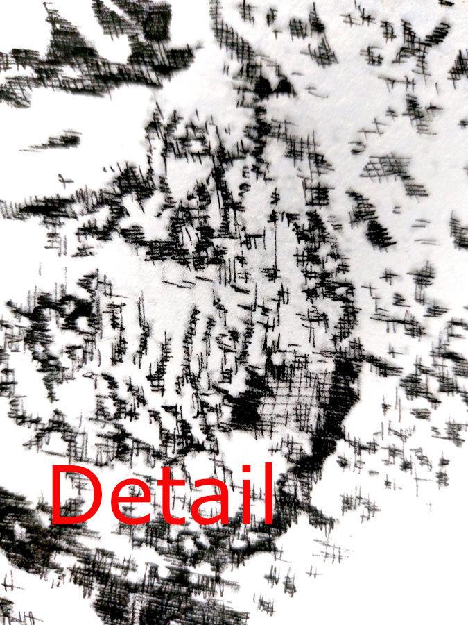 Thumbnail: Chomatophores no.6