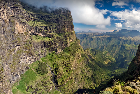 Capture 3.PNG