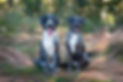 BA180271 - Kopie.jpg