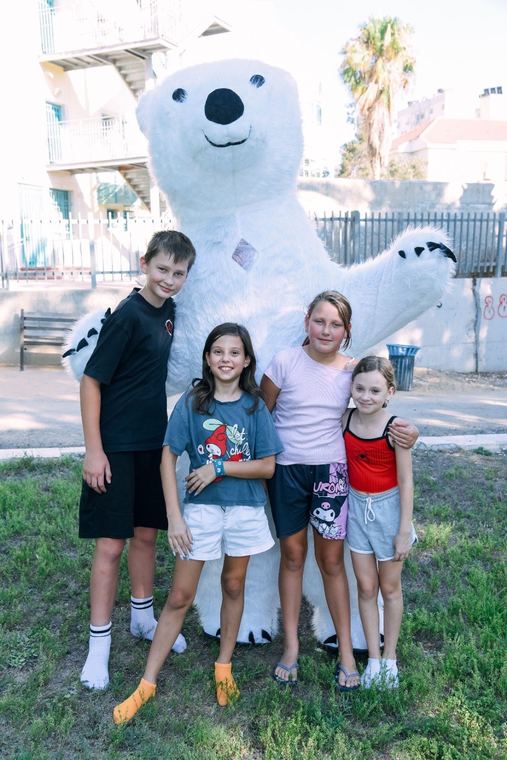 white bear