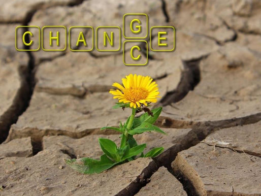 Mudanças São Convites à Evolução