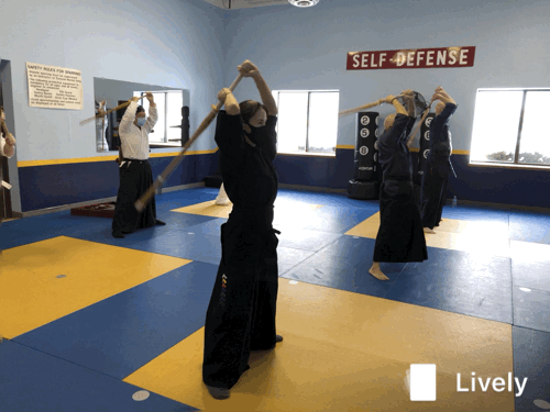 Lively (3).gif