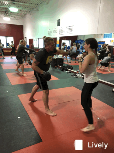 Mixed Martial Arts Fitness Workout
