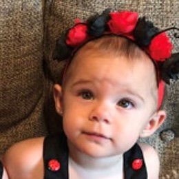 תמונה ממוזערת: תחפושת חיפושית