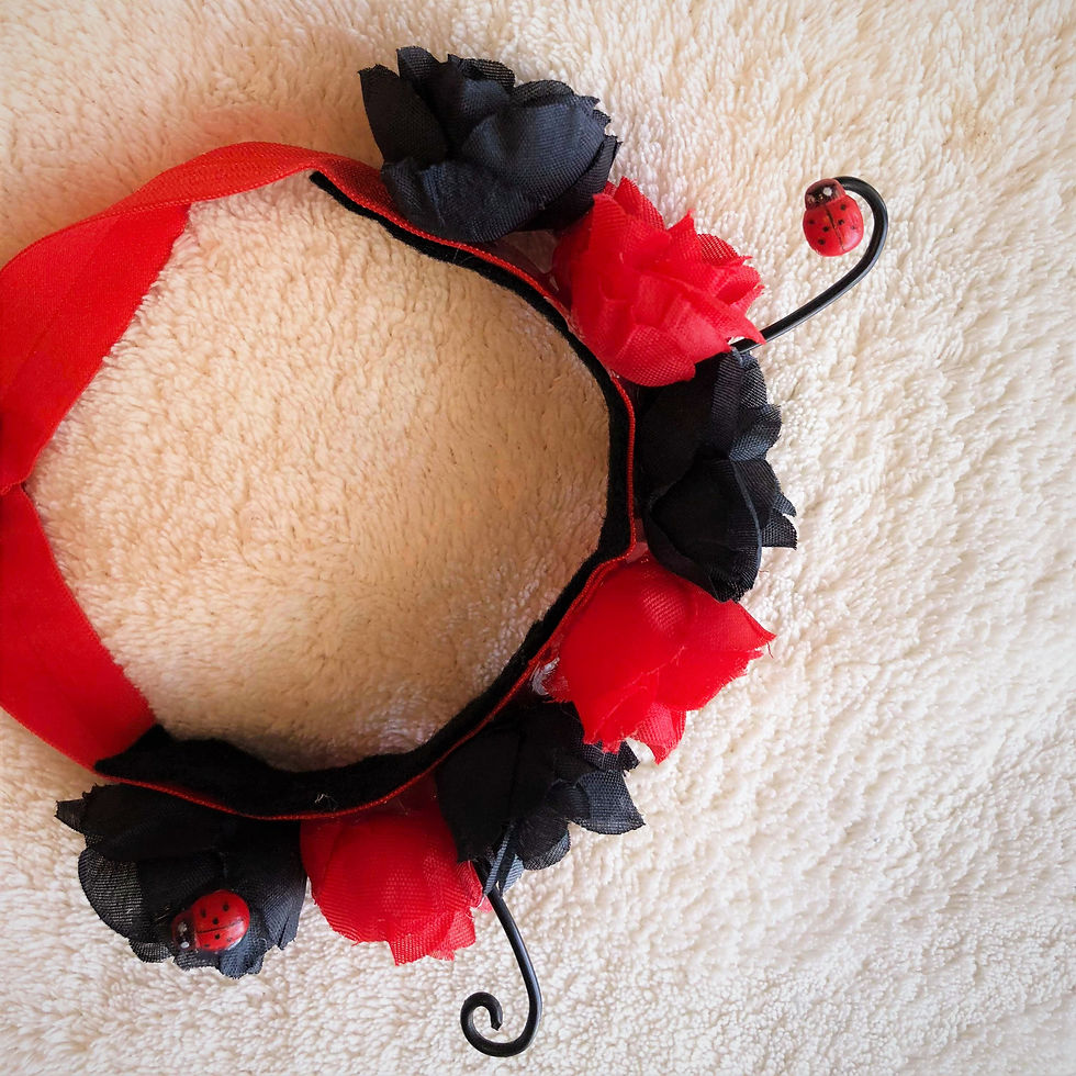 תמונה ממוזערת: תחפושת חיפושית