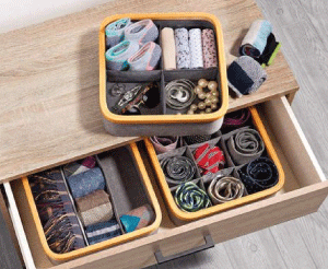 Organizer.gif