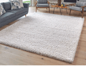 Rug.gif