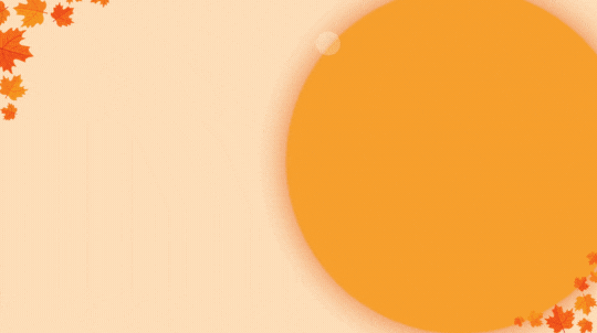 HomepageRect (11).gif