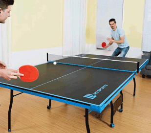 MDTableTennis.gif