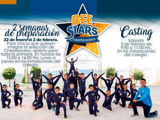 Bee Stars 2018