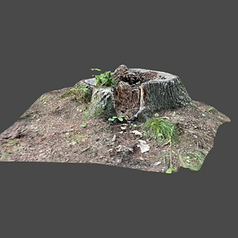 Screenshot 2025-09-21 at 2.48.37 PM.png