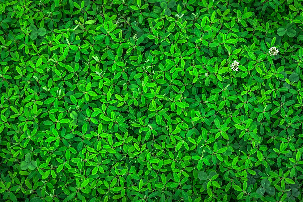 pexels-pixabay-122429.jpg