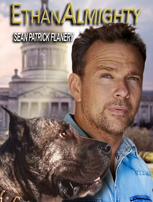 Sean Patrick Flanery 