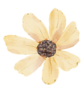 Flowers.png