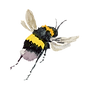Bee.png