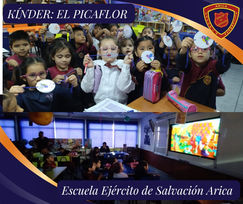 🌿𝐄𝐋 𝐏𝐈𝐂𝐀𝐅𝐋𝐎𝐑 𝐃𝐄 𝐀𝐑𝐈𝐂𝐀🎋