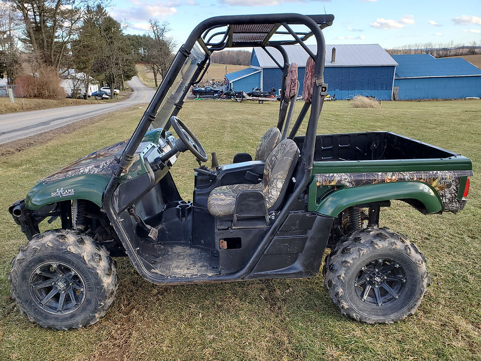 Thumbnail: 2009 Yamaha Rhino 700