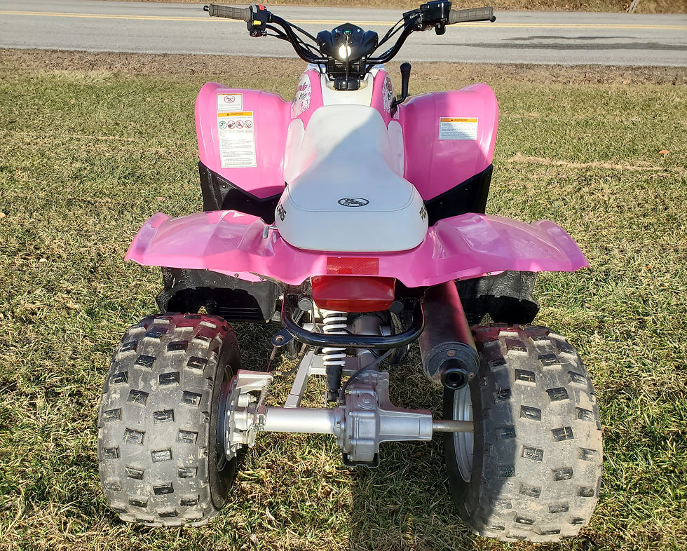 Thumbnail: 2008 Polaris Phoenix 200