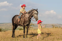 two young happy kids riding a horse on f