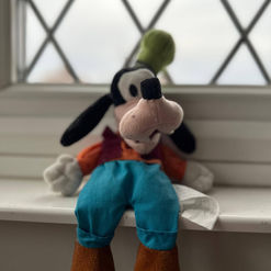 discovering my 25-year-old goofy: a story of brand loyalty and experience