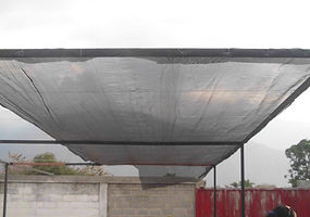 L.B "Estado Portuguesa"