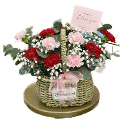 ♥Carnations Basket♥