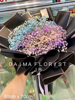 ♥满满都是爱♥