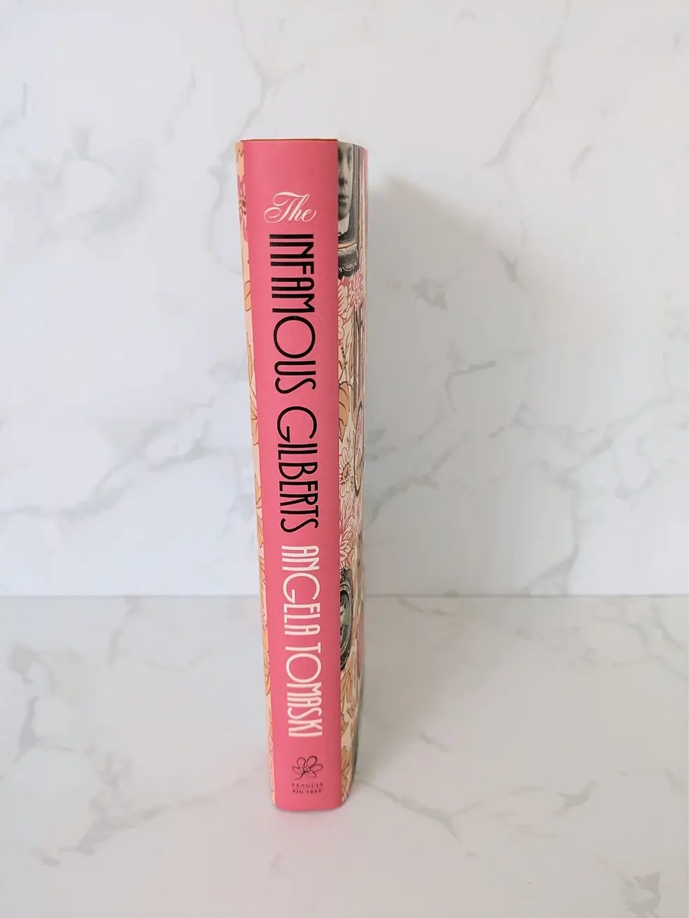 Thumbnail: Spine of The Infamous Gilberts by Angela Tomaski signed first edition hardback showing the book title, author name, and Fig T