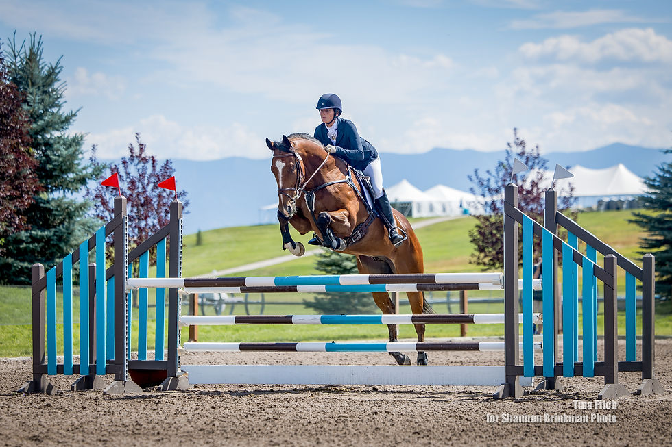 RF25Brinkman7-SJ Voltaire Colors.jpg