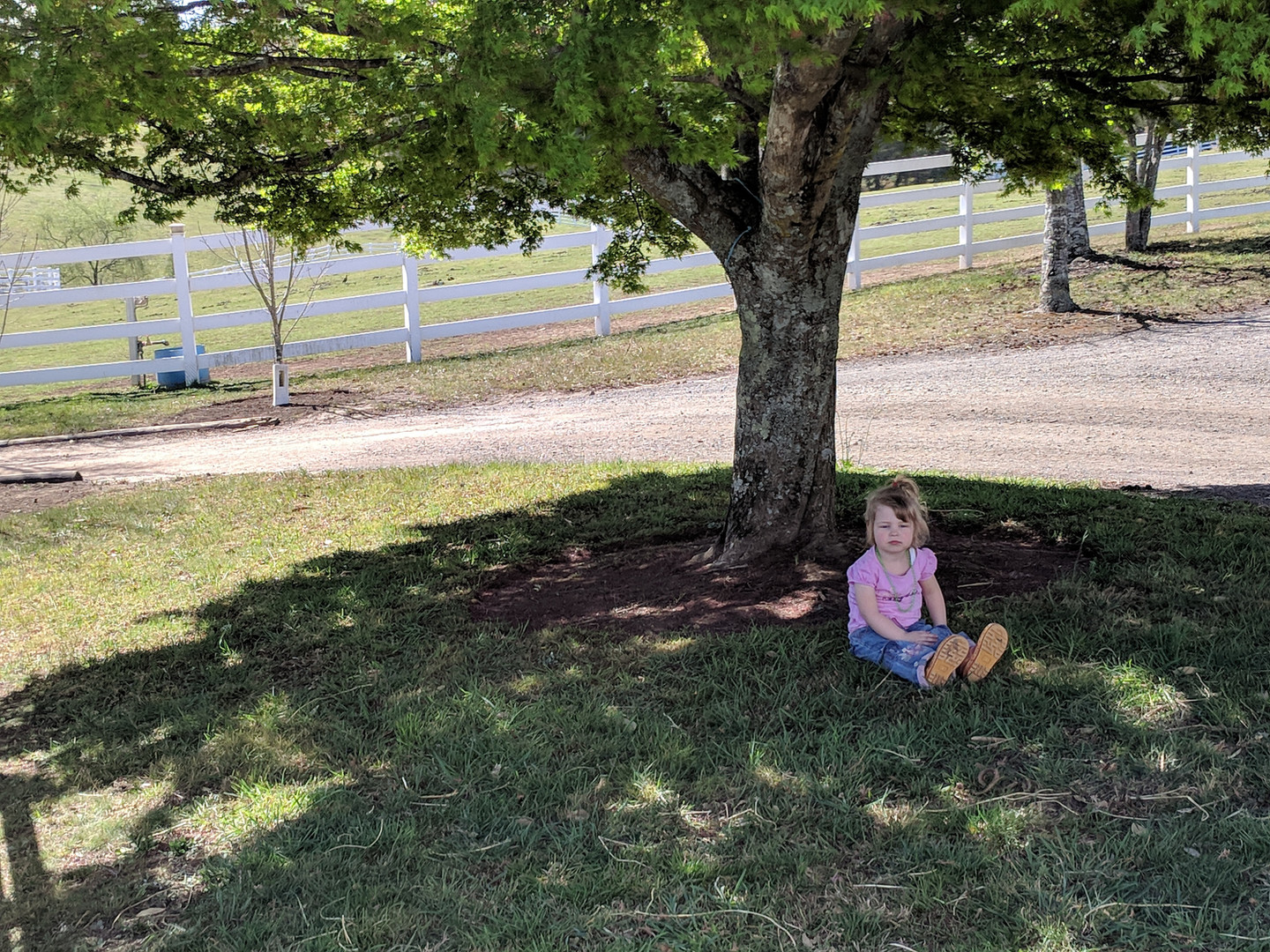 Eden Equine Bilpin Luxury Farmstay