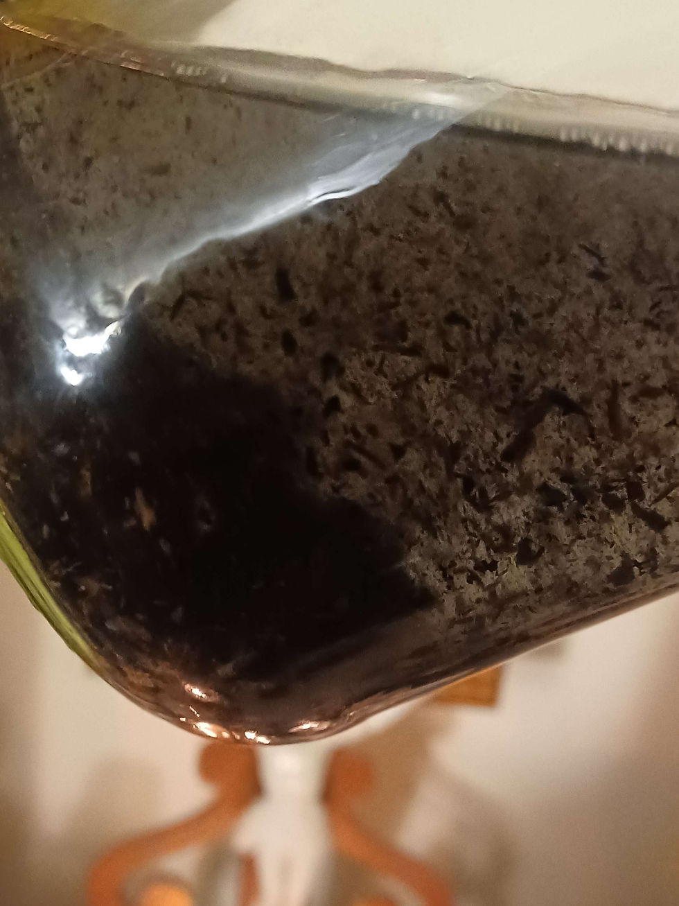 Thumbnail: Lightning Struck Wood Oil