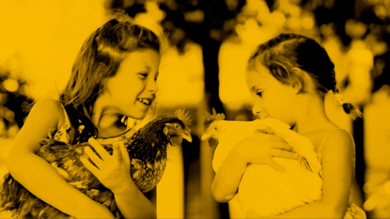 Untitled design (12).gif