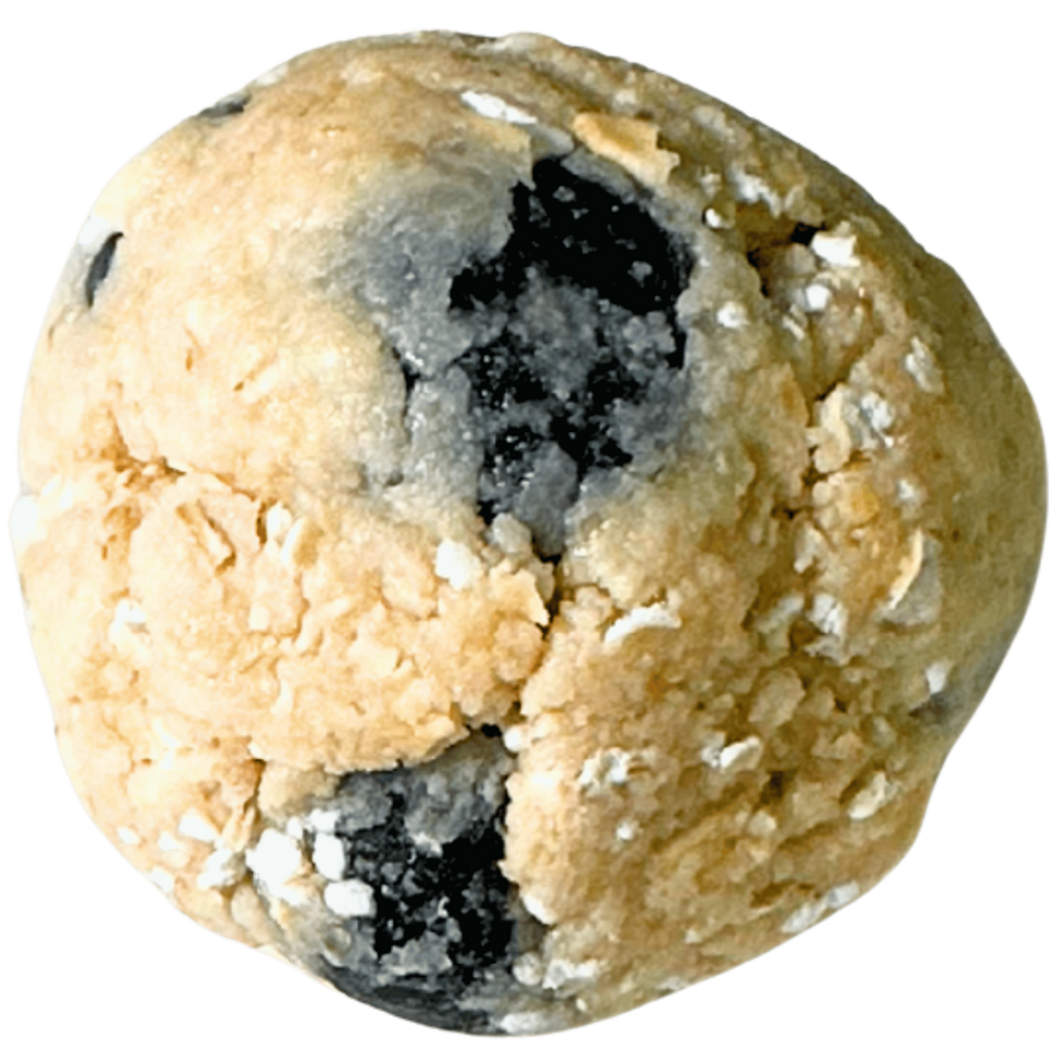 This macro close-up view of the LunaFit Fresh Protein Bites Blueberry Nova features a single bite with a smooth, pale oat and protein base dotted with large, distinct whole dried blueberries.