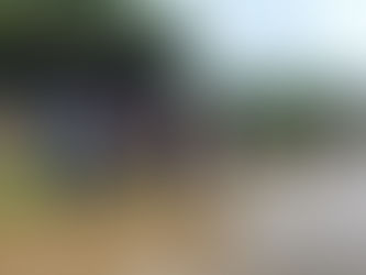 DISABLED RIDING SCHOOL IS A RALPHH FIRST