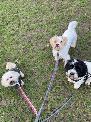 Ruby, Flapjack, and Mabel.
