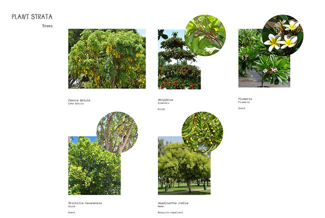 _landscape_layout14.jpg