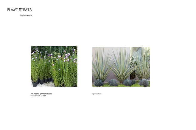 _landscape_layout15.jpg