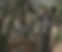 Cerf de berberie_edited.png