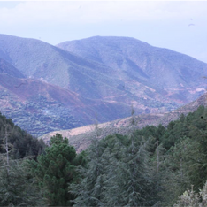 Sans titre.png-1.png