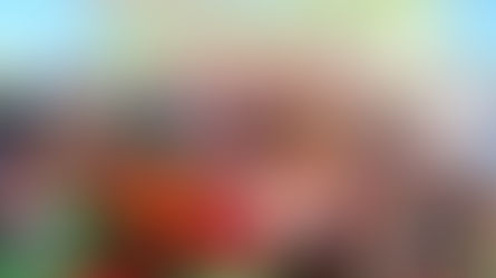 नवपदोन्नत प्रधान पाठकों के लिए छत्तीसगढ़ टीचर्स एसोसिएशन सोनहत, कोरिया ने आयोजित किया अभिनंदन समारोह