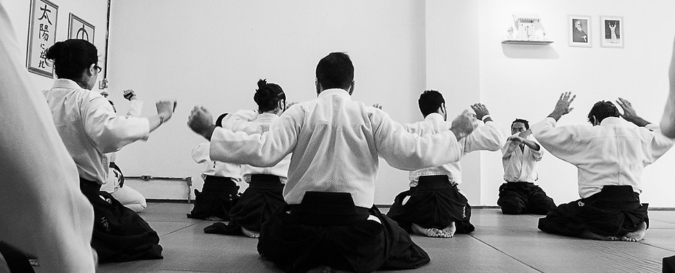 Aikido, En Dojo 31032026_0022.jpg
